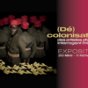 Exposition – (Dé)colonisations : des artistes africains interrogent l&rsquo;histoire